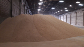 Экспортная российская пшеница дорожает четвертую неделю подряд
